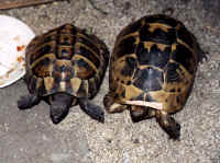 Wir wissen noch nicht so richtig etwas mit uns anzufangen ...