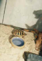 Max - noch ganz klein